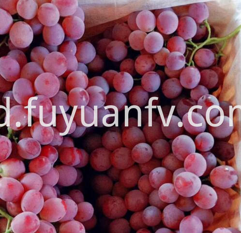 fresh grapes